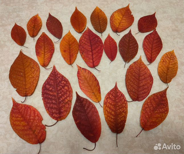 Материалы для декора