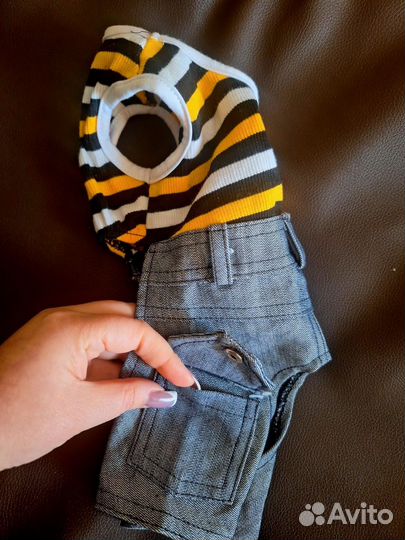 Костюм для собаки