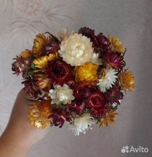 Сухоцветы букеты