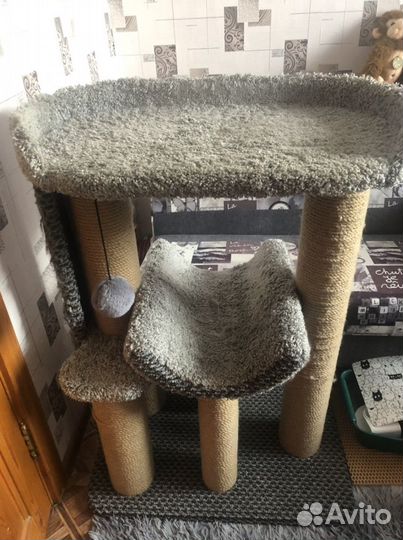 Когтеточка