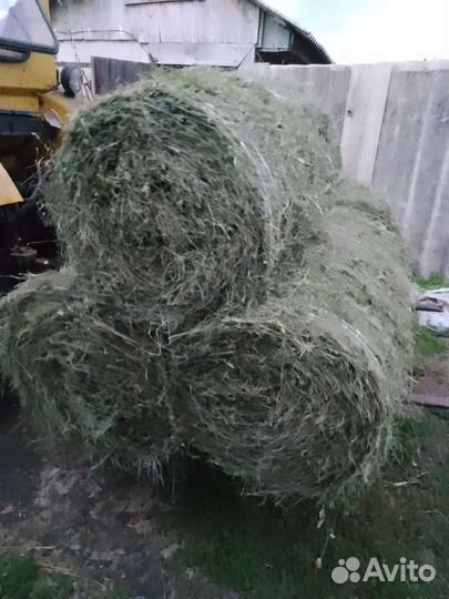 Сено в рулонах 2023