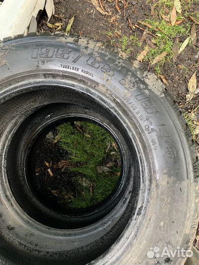 Gislaved Nord Frost II 195/65 R15