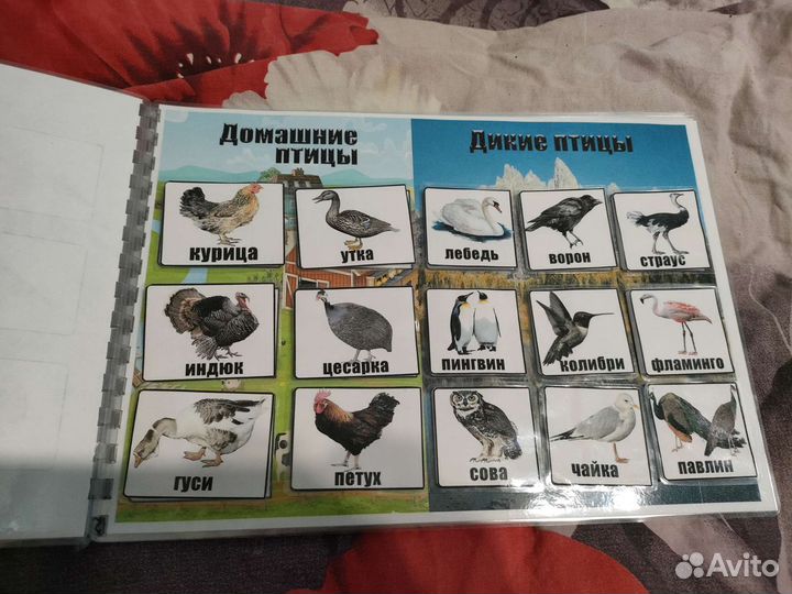 Альбом на липучках