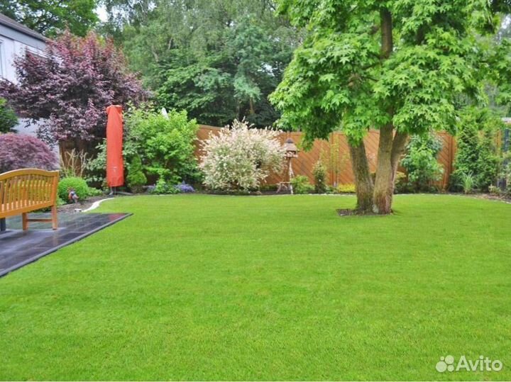 Рулонный газон 