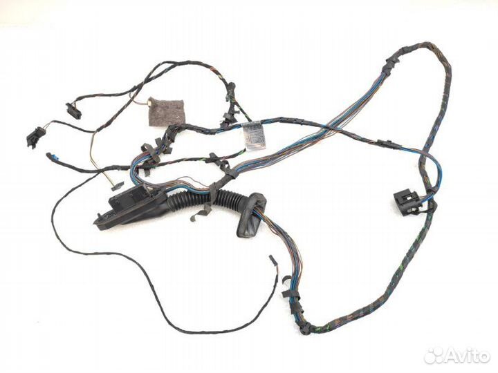 Проводка двери задняя левая Bmw X5 E70 N52B30 2008