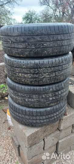 Goodyear EfficientGrip Performance 205/55 R16 91V