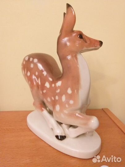 Лапка Хуа-лу