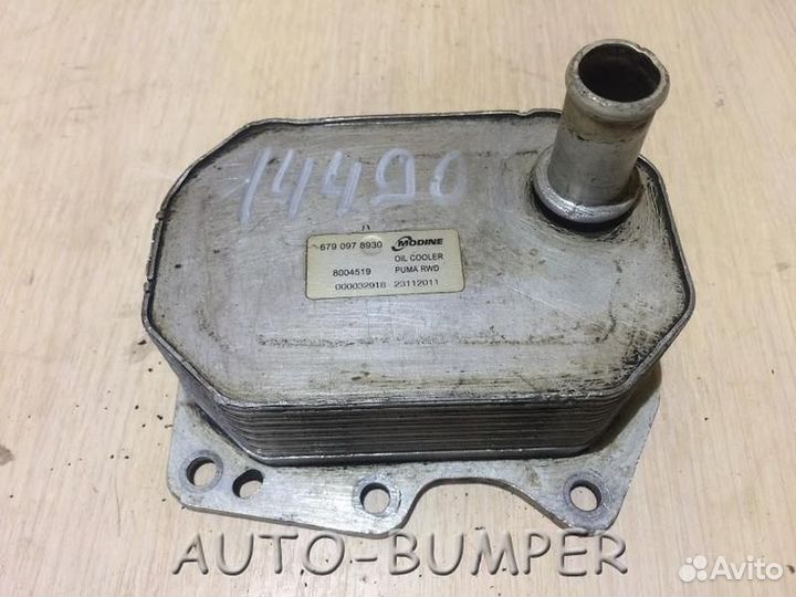 Ford Transit 2006- Радиатор маслянный