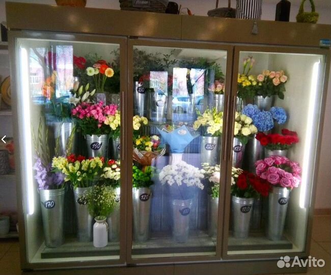 Холодильные шкафы для цветов