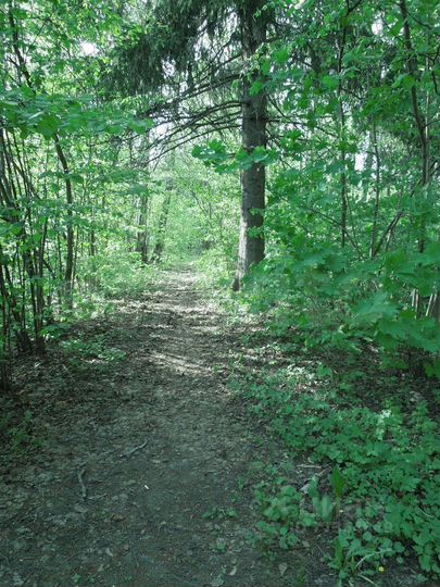 Участок 7,2 сот. (ИЖС)