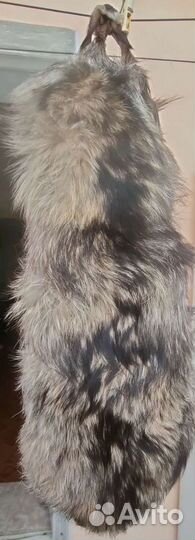 Шкурка Енота