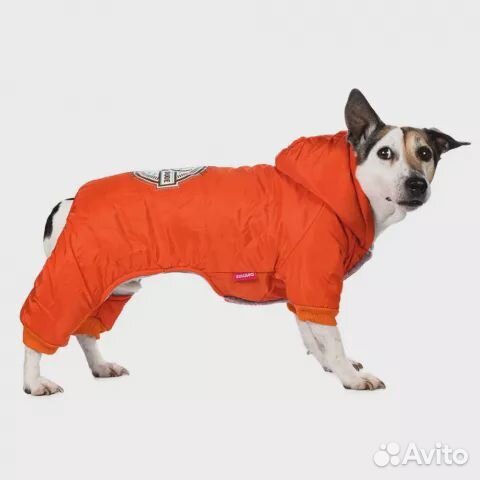Комбинезон для собаки