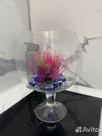 Аквариум бокал