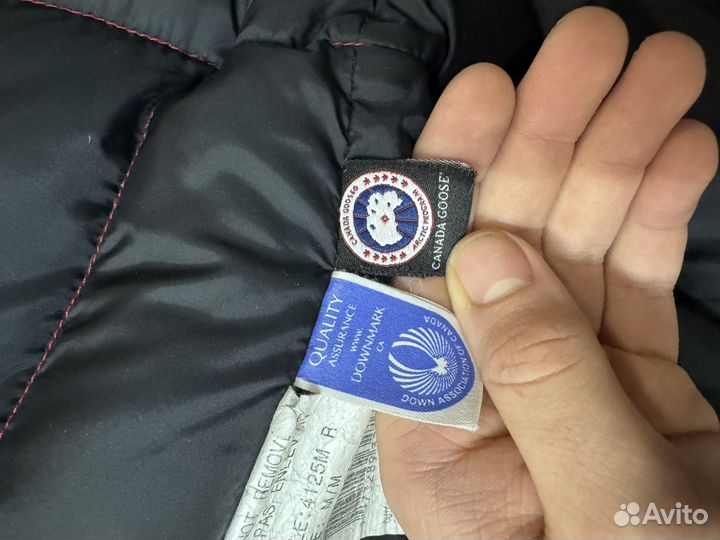 Жилетка мужская canada goose