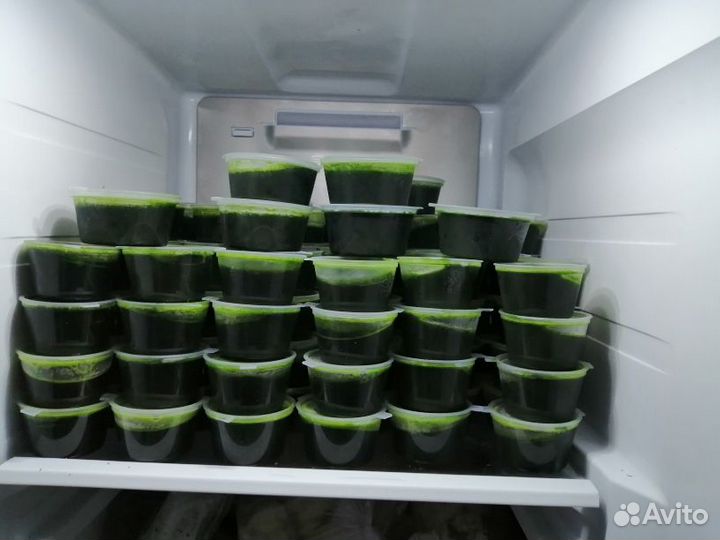 Витграсс, сок из ростков пшеницы