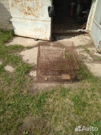 Клетка для с/х птицы