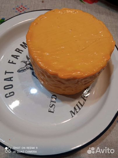 Молоко сыр сгущенка творог яйцо коза доставка