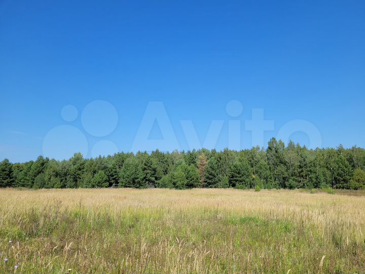 Участок 10 сот. (ИЖС)