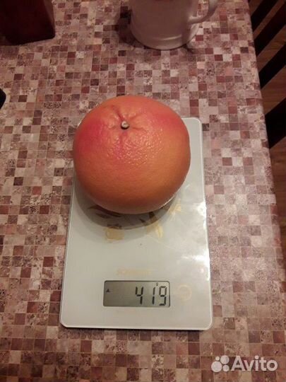 Весы кухонные Scarlett