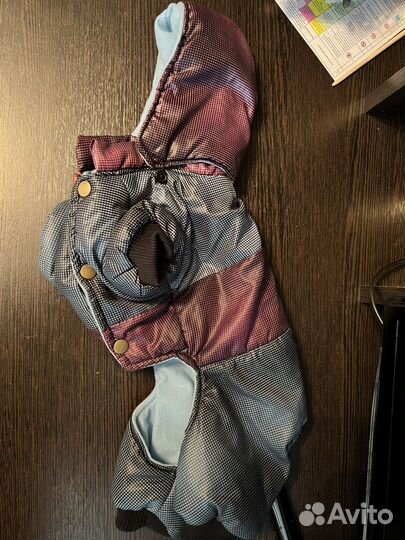 Комбинезон для маленькой собаки