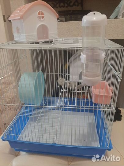 Клетка для крыс бу