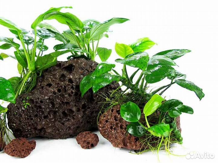 Лава вулканическая для аквариума