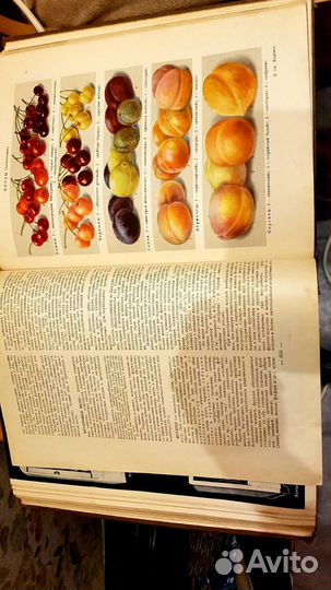 Энциклопедия домашнего хозяйства