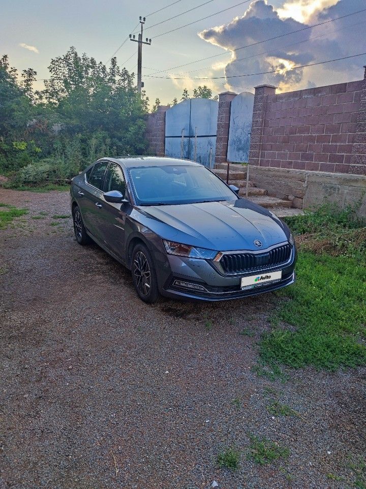 Skoda Octavia: фото владельца