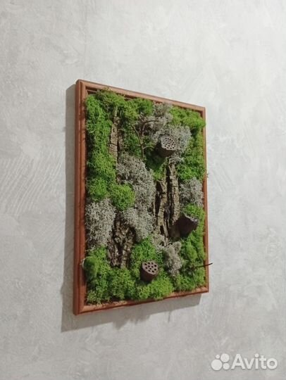 Картина из мха