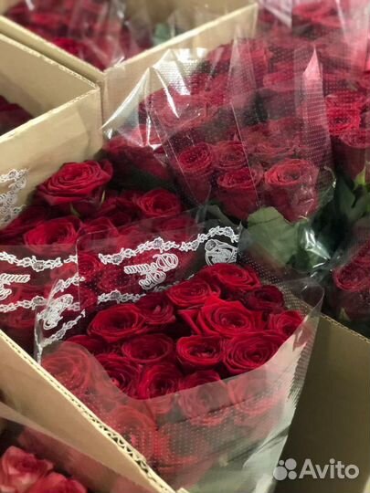 Роза Red Naomi 50 см. Поштучно