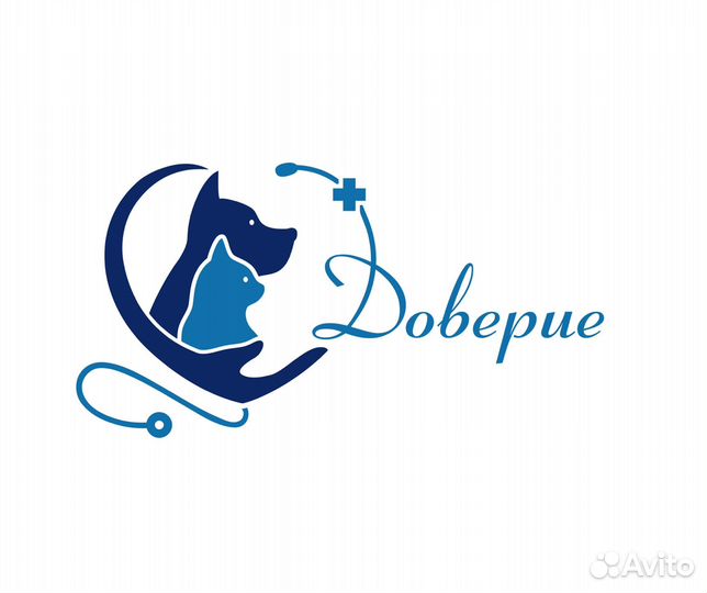 Ассистент ветеринарного врача