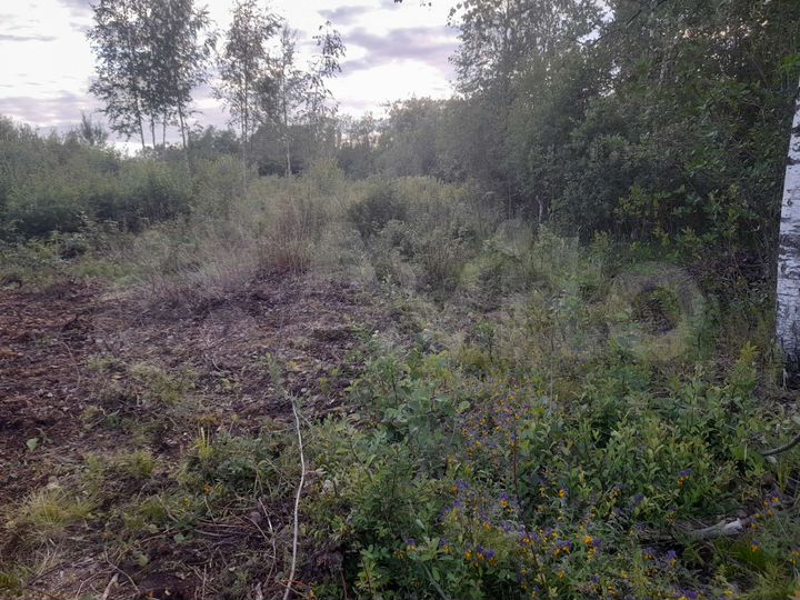 Участок 12 сот. (ИЖС)