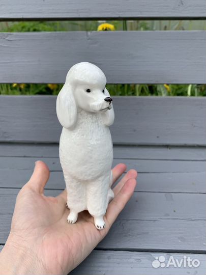 Пудель фарфоровая статуэтка