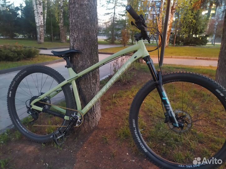 Dartmoor Primal 29 XL