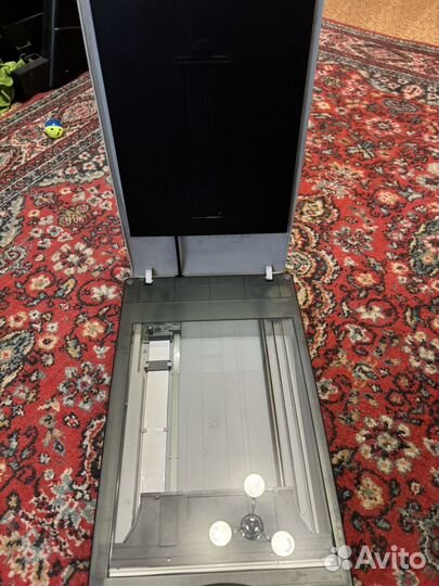 Сканер Mustek Bear Paw 2448TA Plus