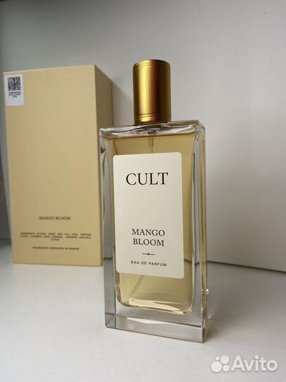 Cult mango bloom