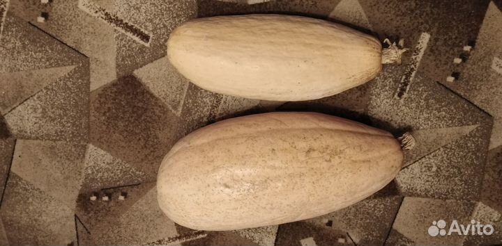 Тыква торпеда