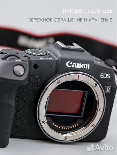 Без зеркальный фотоаппарат canon