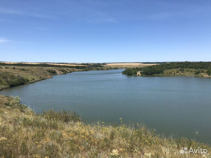 Пруд в аренду