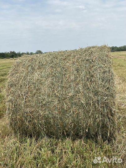 Солома в рулонах почти как сено