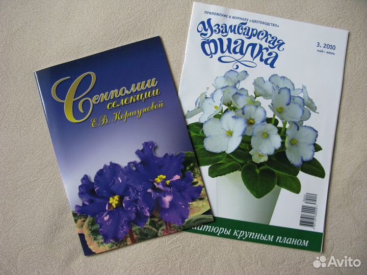 Любителям фиалок