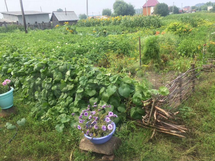 Участок 20 сот. (ИЖС)