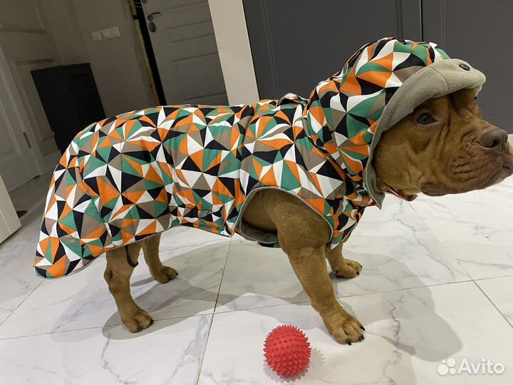 Одежда для собак средних и крупных пород