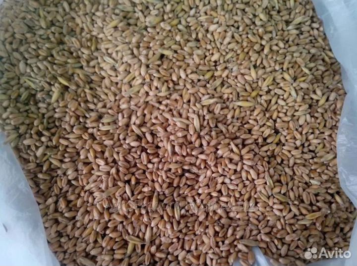 Продаю корма для животных