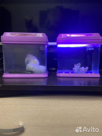Аквариум
