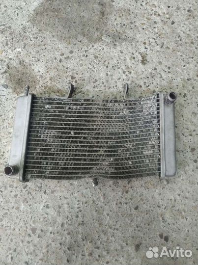 Радиатор мотоцикла Дерби (derbi) GPR 125