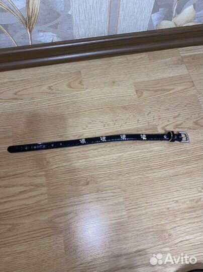 Поводок и ошейник