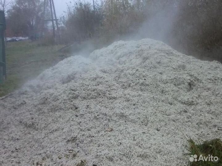 Жом свекольный