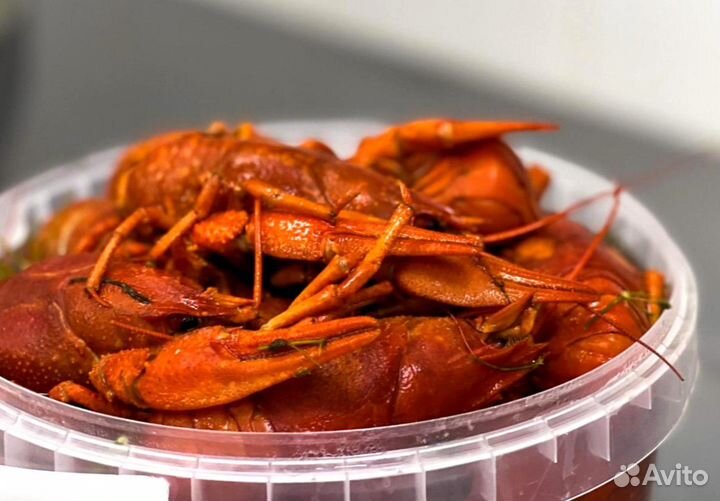 Раки вареные и живые