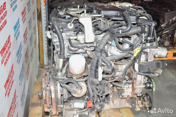 Двигатель YD25